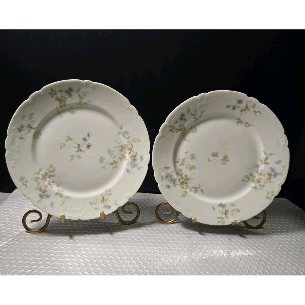 Pair Of Antique Jean Pouyat Limoges(J.P.L.)FinePorcelain Floral Scalloped 8.5"